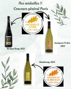 Blanc Minimaliste Moderne Tarifs Prestations Graphiques Publication Instagram