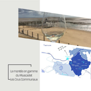 Site oenotourisme carte du val de loire
