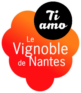 logo-VDN-DEGRADE-QUADRI