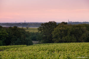 Vigneron Poiron Dabin
