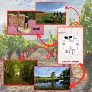 Vert blanc Simple Annonce recrutement vendanges Publication Instagram (2)